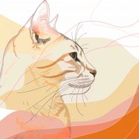 Plakat 90x90cm Delikatny Profil Kota