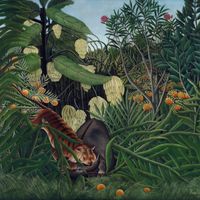 Plakat 100x100cm Tiger and Buffalo, Rousseau Vintage do Salonu