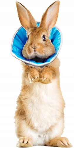 MIĘKKI KOŁNIERZ POZABIEGOWY Z TKANINY PIES KOT 3XL na Arena.pl