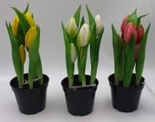 kwiat w doniczce 24cm TULIPAN M93209