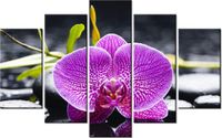 70 100CM OBRAZ 5 ELEM ORCHIDEA DRUK PŁÓTNO