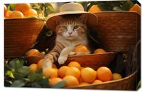 product-compare-59477375