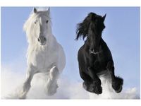 product-compare-58694493