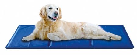 MATA CHŁODZĄCA DLA PSA DUŻA XXL 110x70cm żelowa legowisko PREMIUM GRUBA 4kg na Arena.pl