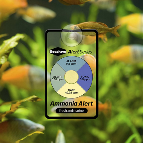 Seachem Ammonia Alert (stały test NH3) na Arena.pl