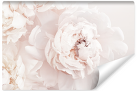 Fototapeta Do Sypialni Pastelowe Kwiaty PEONIE Piwonie 450cm x 300cm