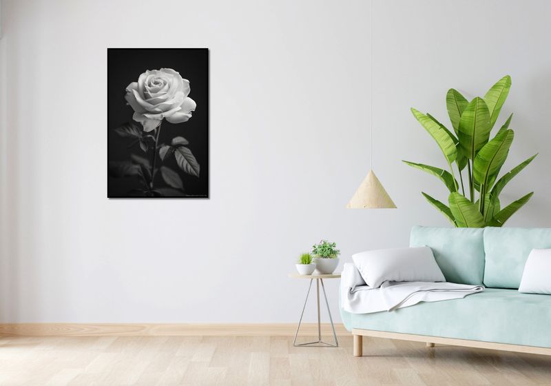 Plakat 61x90,5cm Płatki Róż zdjęcie 4