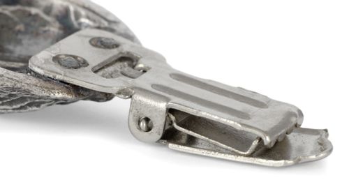 Cairn Terrier - klips - 2552 na Arena.pl