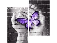 product-compare-58648172