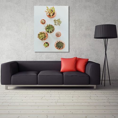 Deco Panel, Rośliny w doniczkach 50x70 na Arena.pl