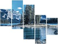 product-compare-58709098