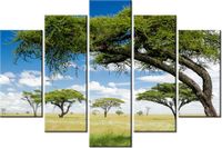 product-compare-58696876