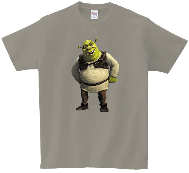 Koszulka T-shirt Shrek zdjęcie 1