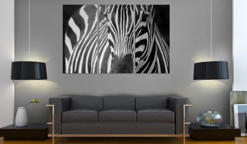 Obraz - Pani Zebra Rozmiar - 60x40 na Arena.pl