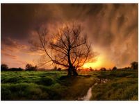 50X70CM ROMANTYCZNY SPACER OBRAZ POKOJU DREWNINE