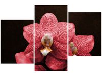 product-compare-58699985