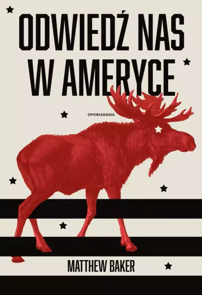 Odwiedź nas w Ameryce zdjęcie 1