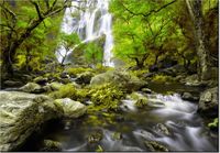 product-compare-58711480