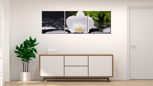 Foto-Obraz 150X50 Biała Orchidea na Arena.pl