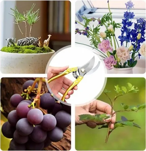 SEKATOR NOŻYCOWY DO GAŁĘZI NOŻYCE DO DO PRZYCINANIA Z BLOKADĄ 220 MM na Arena.pl