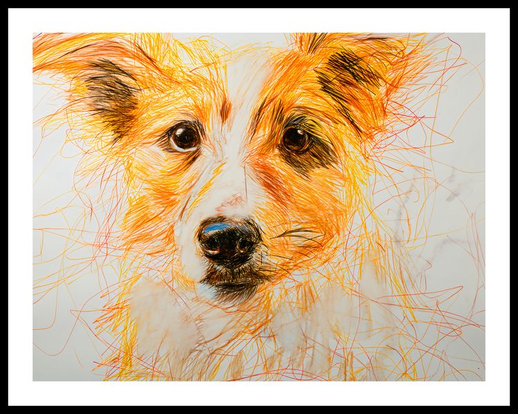 Plakat 65x50cm Uroczy Gość zdjęcie 3