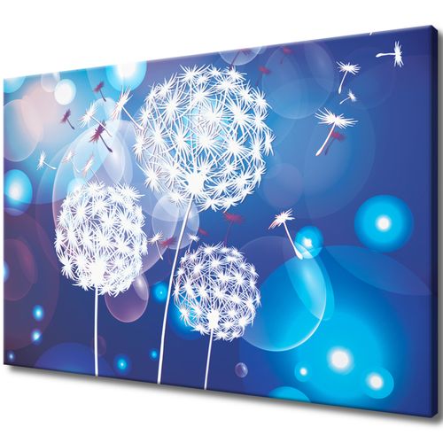 Obraz 120X80 Dmuchawce Abstrakcja Tle na Arena.pl