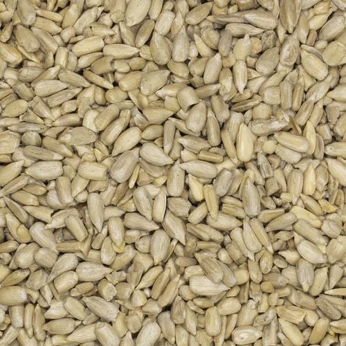 SŁONECZNIK ŁUSKANY ziarno 500g ŚWIEŻY NATURALNY na Arena.pl