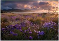 Fototapeta Na Flizelinie Do Sypialni Salonu Krajobraz 400x280