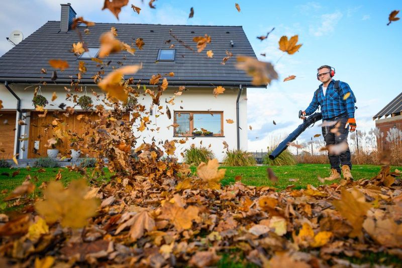 CEDRUS DM05 PRO PROFESJONALNY ODKURZACZ  DMUCHAWA SPALINOWA OGRODOWA DO LIŚCI - OFICJALNY DYSTRYBUTOR - AUTORYZOWANY DEALER CEDRUS zdjęcie 38