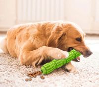 Gryzak szczotka do zębów zabawka dla psa 17,5cm