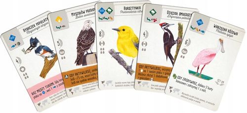 Gra planszowa Rebel Na skrzydłach na Arena.pl