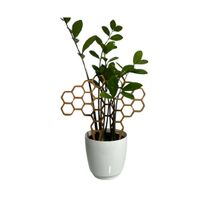 Podpora do roślin w kształcie heksagonów - nowoczesna i wytrzymała