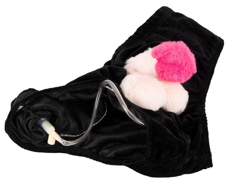 Briefs With Inflatable Penis zdjęcie 8