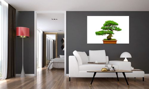 Obraz 120X80 Bonsai na Arena.pl