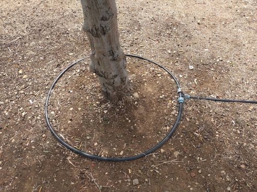 Linia kroplująca 50m + 50 szpilek /100 akcesoriów na Arena.pl