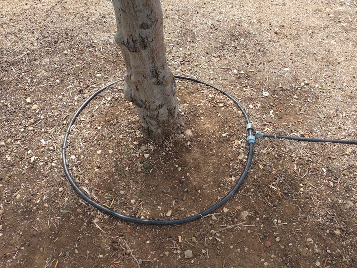 Linia kroplująca 50m + 50 szpilek /100 akcesoriów zdjęcie 4