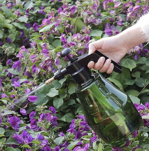 Rozpylacz opryskiwacz spryskiwacz ciśnieniowy atomizer zraszacz butelka 1,5 na Arena.pl