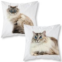 Poszewka Na Poduszkę 40X40 Kotek Mf 021