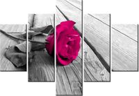 product-compare-58676741