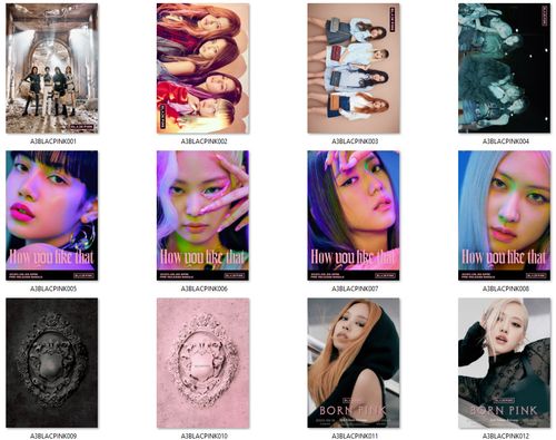 Plakat Blackpink DO WYBORU na Arena.pl