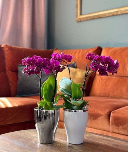 DONICZKA OSŁONKA CERAMICZNA NA STORCZYK SREBRNA na Arena.pl