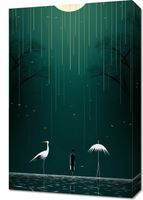 Obraz 40x60cm Nocne Marzenia