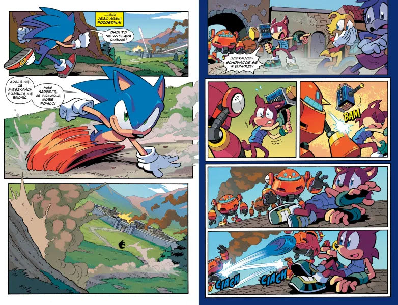 Punkt zwrotny 1. Sonic the Hedgehog zdjęcie 2