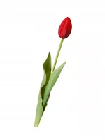 TULIPANY SILIKONOWE jak ŻYWE 40cm TULIPAN CZERWONY