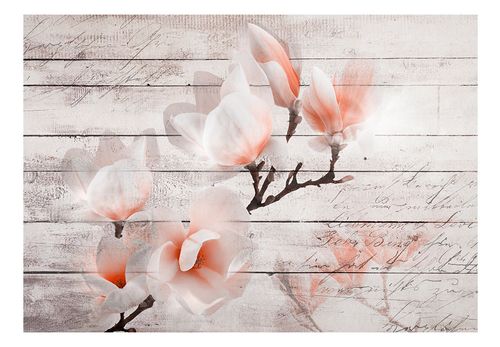 Fototapeta - Subtelność Magnolii 400x280 na Arena.pl