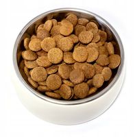 TEO sucha pies bogata w wołowinę 15 kg