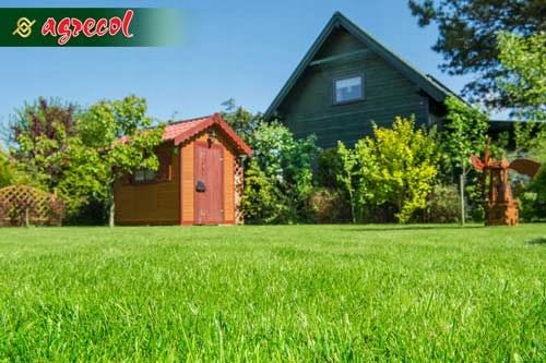 Nawóz super wieloskładnikowy do traw 1,2kg zdjęcie 2