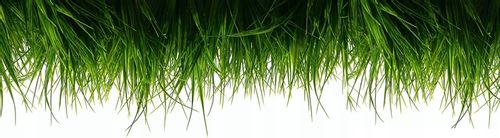 Nawóz Letni Uniwersalny Barenbrug BarFertile Universal 5KG na Arena.pl