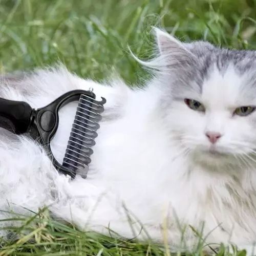 ZGRZEBŁO TRYMER DO KOŁTUNÓW SIERŚCI USUWA MARTWY WŁOS PSA KOTA ZWIERZĄT na Arena.pl