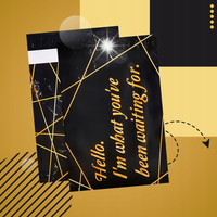 FOLIOPAKI KURIERSKIE MOCNE KOPERTY FOLIOWE 255x370 FOR YOU 50szt